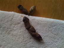 Not in my living room!!