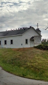 IMG_20150425_170133288_HDR