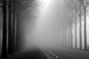 foggy road