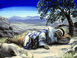 5_large-stone-for-a-pillow