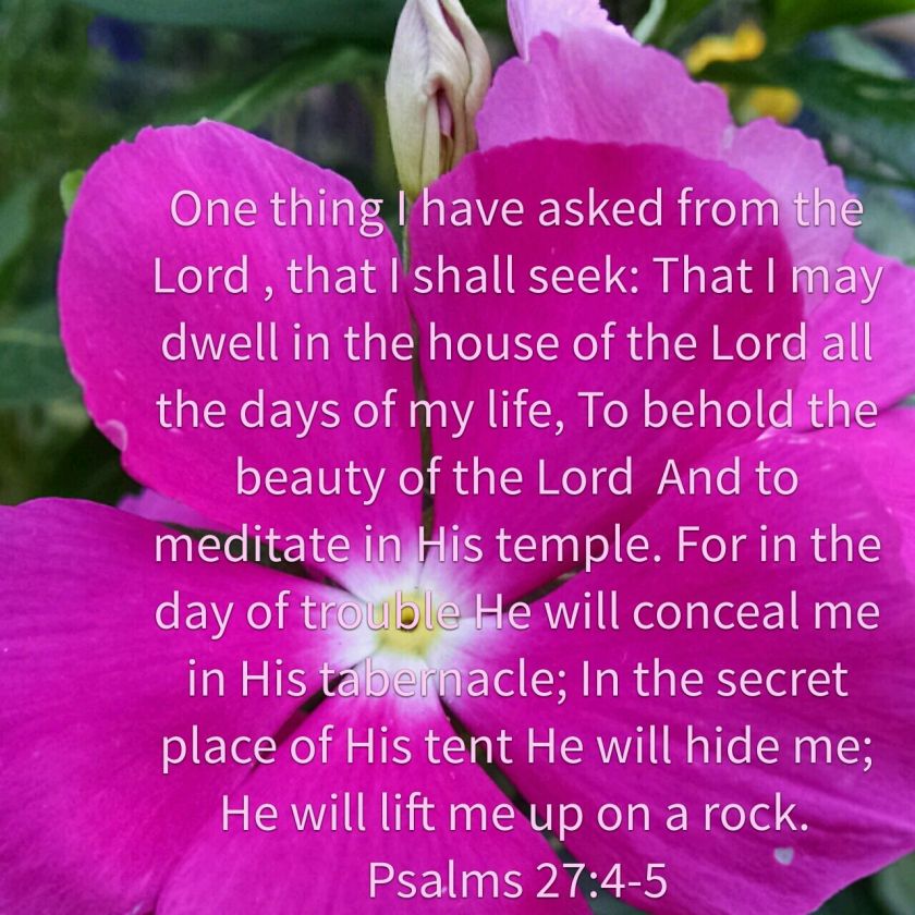 image_editor_1441789713764