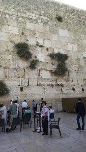 IMG_20150520_090553276